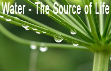 Water - The Source of Life